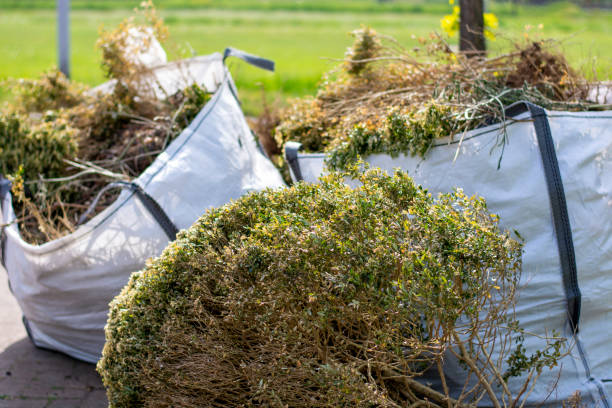 Best Junk Removal Near Me  in Citrus Springs, FL